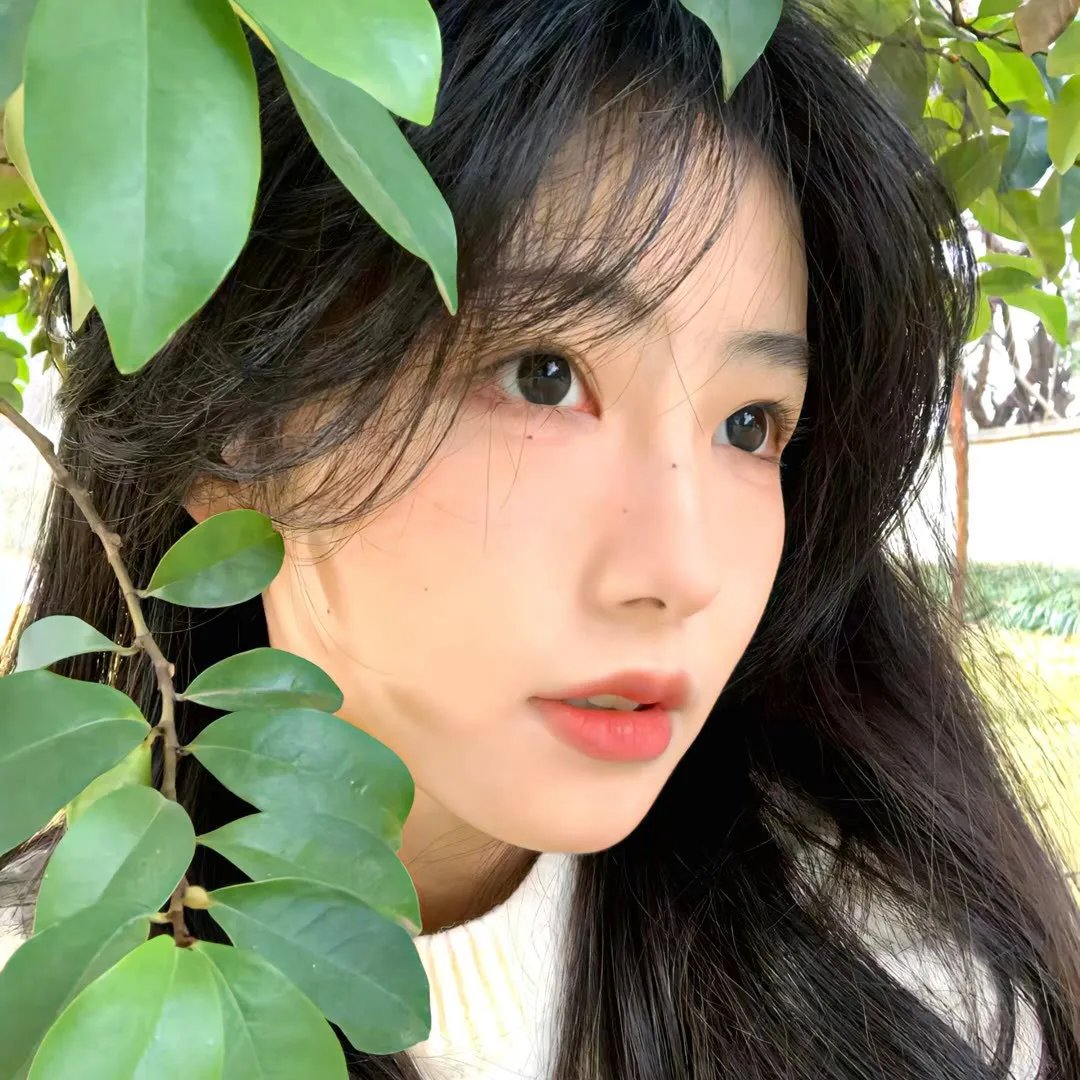 欲望法则